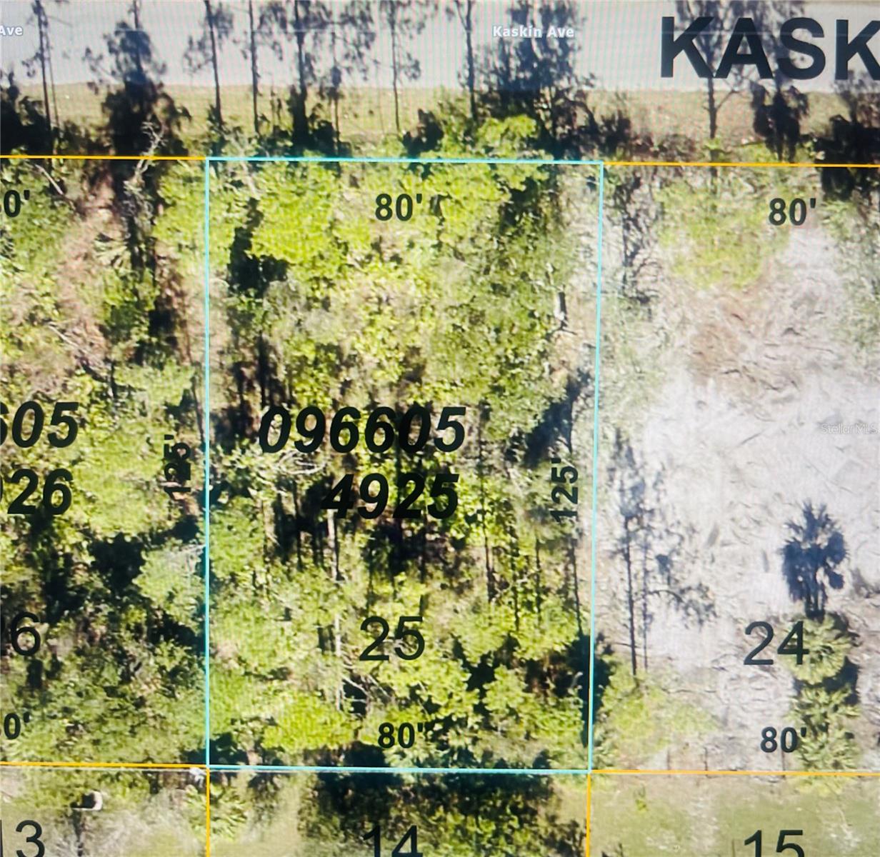 0966054925 KASKIN AVE, NORTH PORT, FL — photo 9