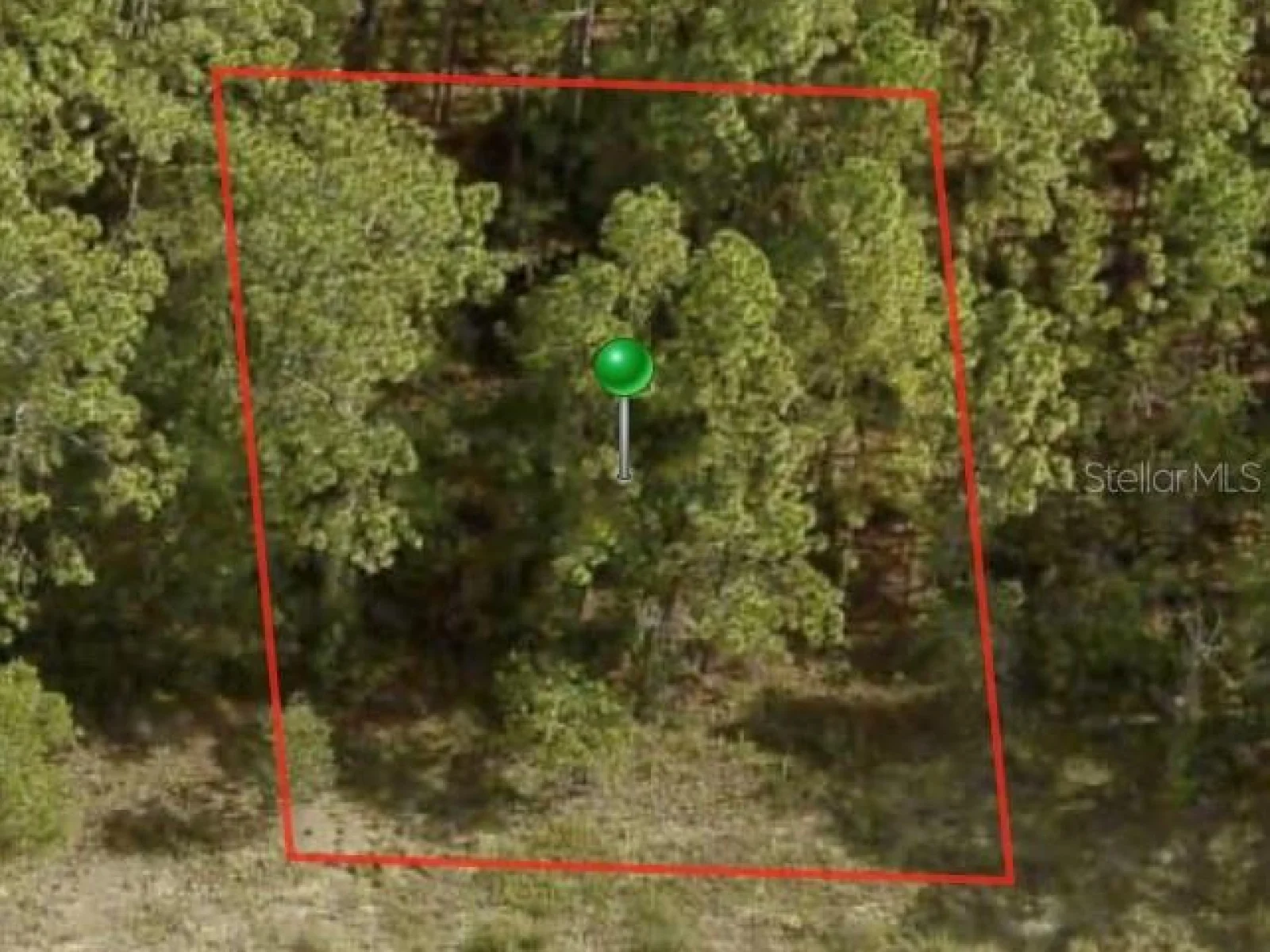 1233 W RILEY DR, CITRUS SPRINGS, FL — photo 1