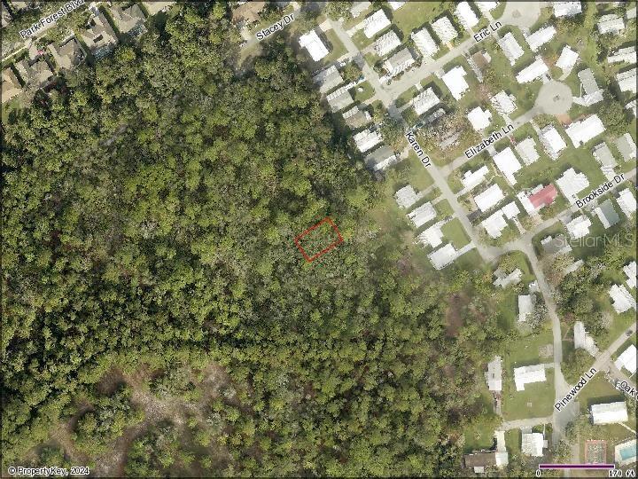KAREN DR, MOUNT DORA, FL
