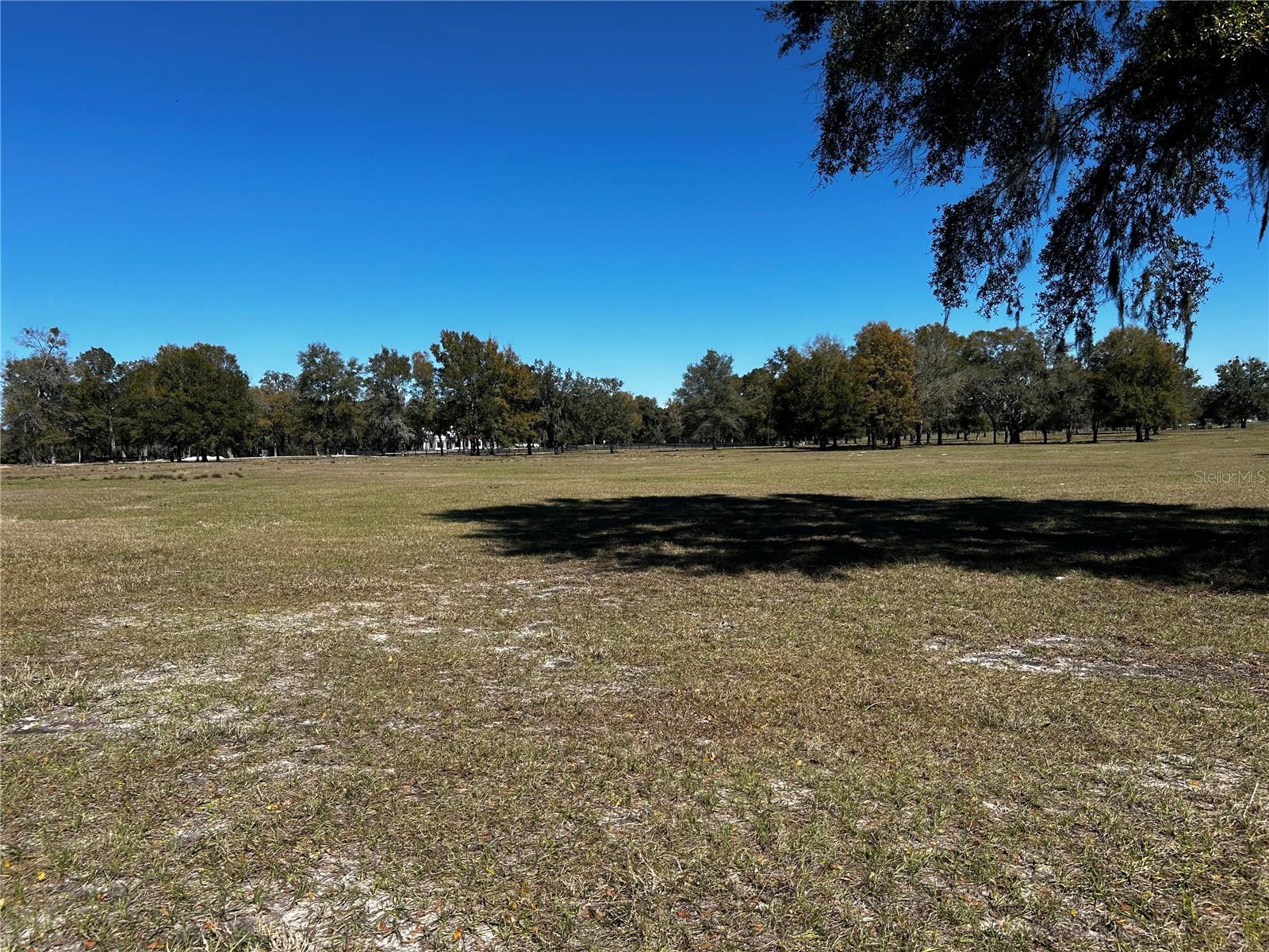 0000 NW 464B, MORRISTON, FL — photo 3