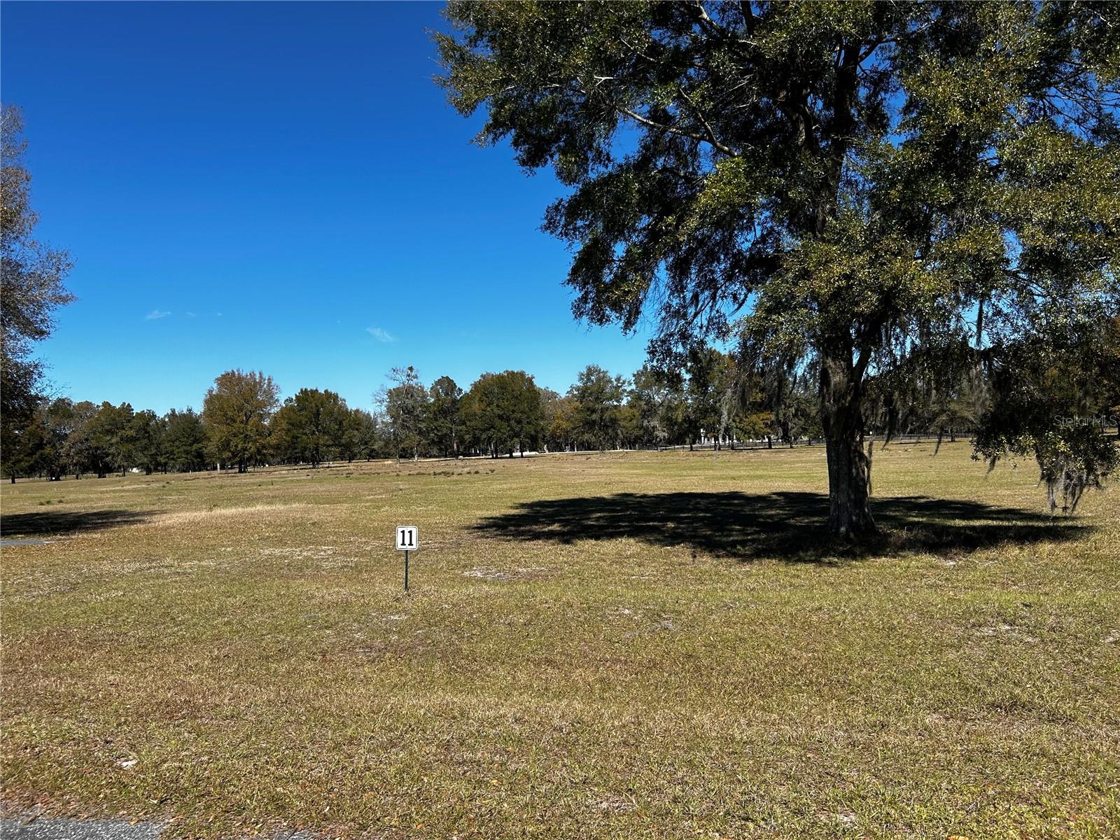 0000 NW 464B, MORRISTON, FL — photo 4