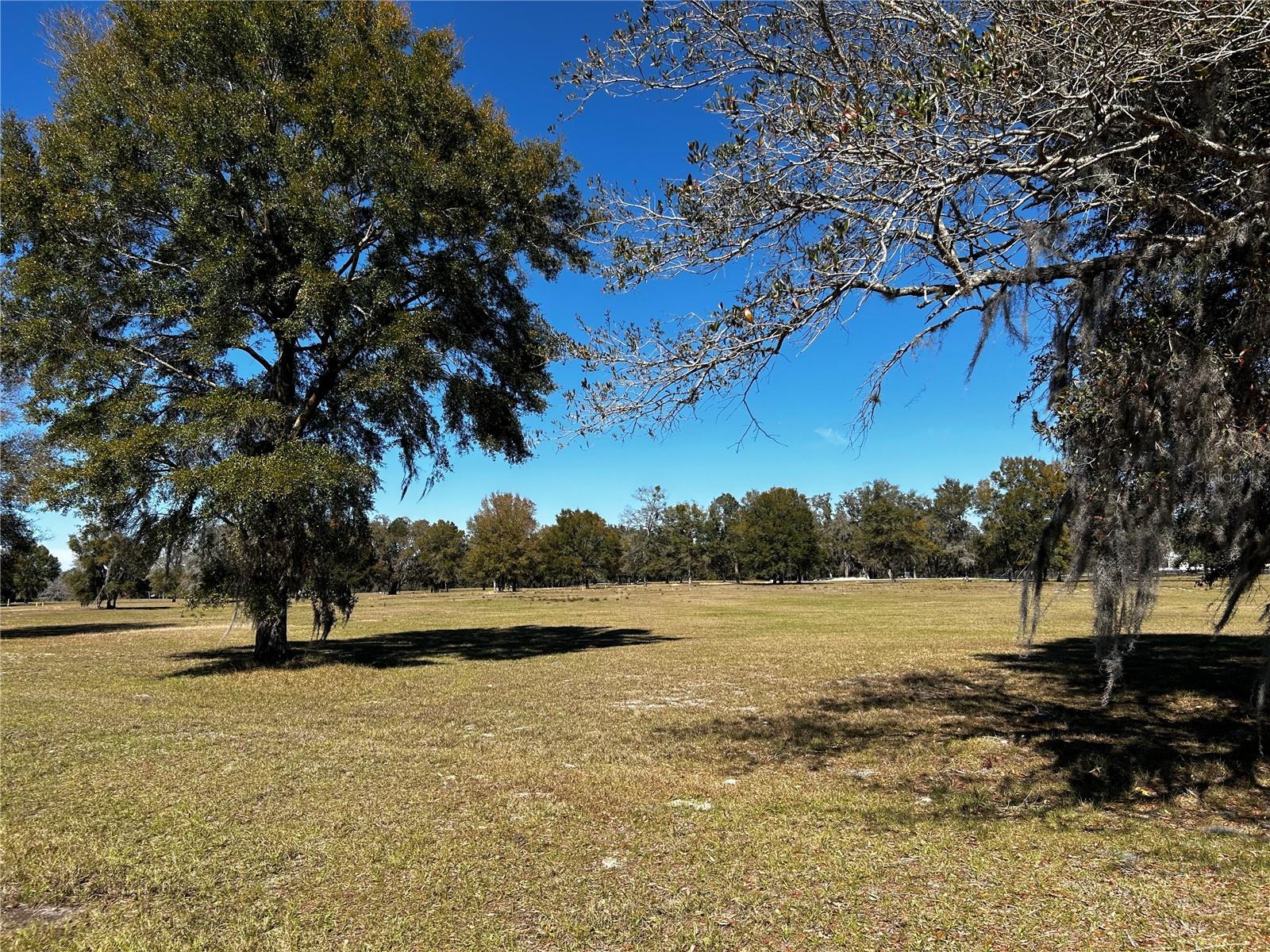 0000 NW 464B, MORRISTON, FL — photo 5