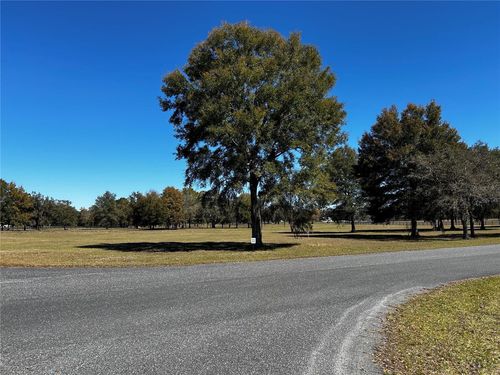 0000 NW 464B, MORRISTON, FL — photo 10