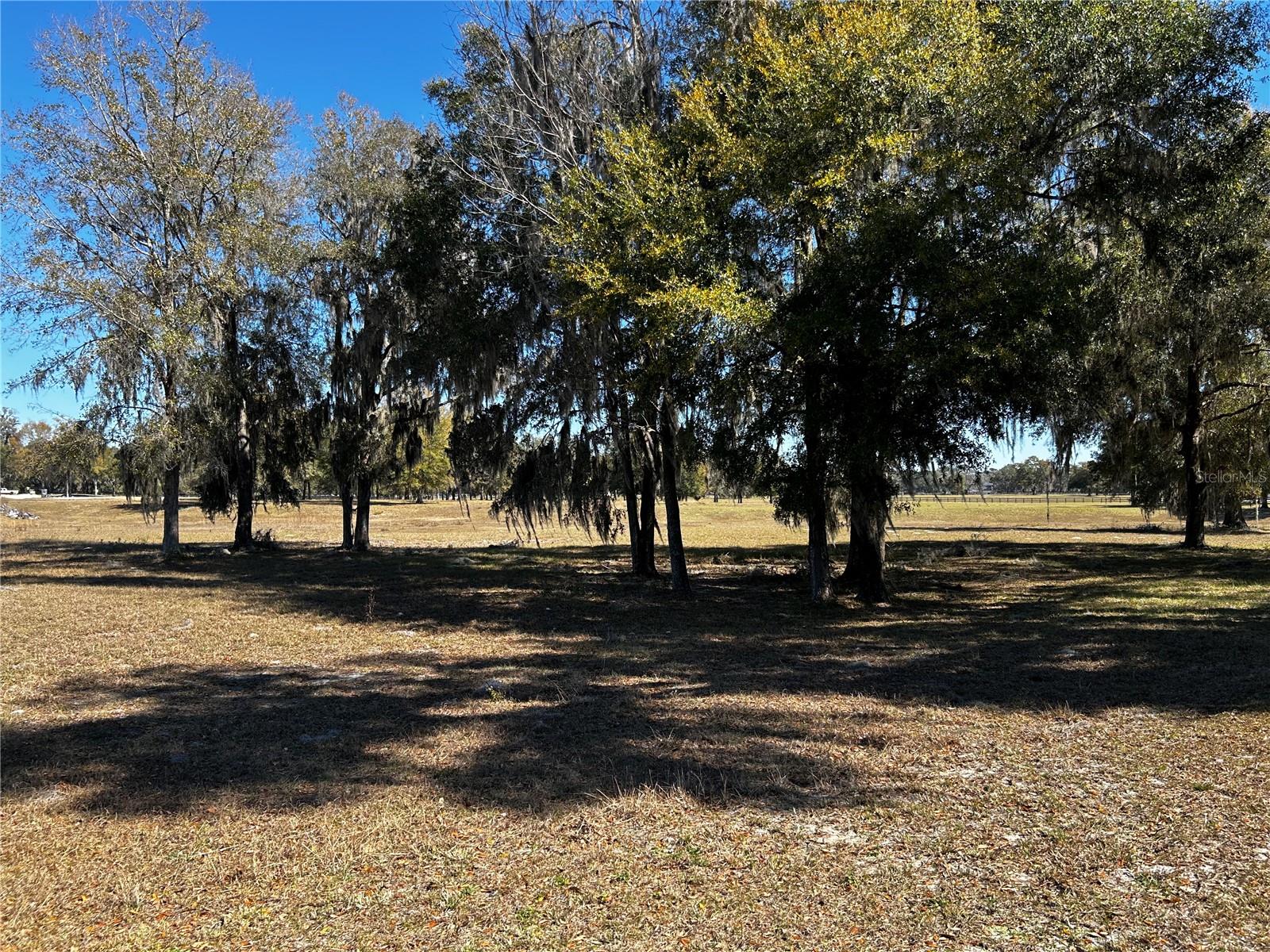 0000 NW 464B, MORRISTON, FL — photo 14