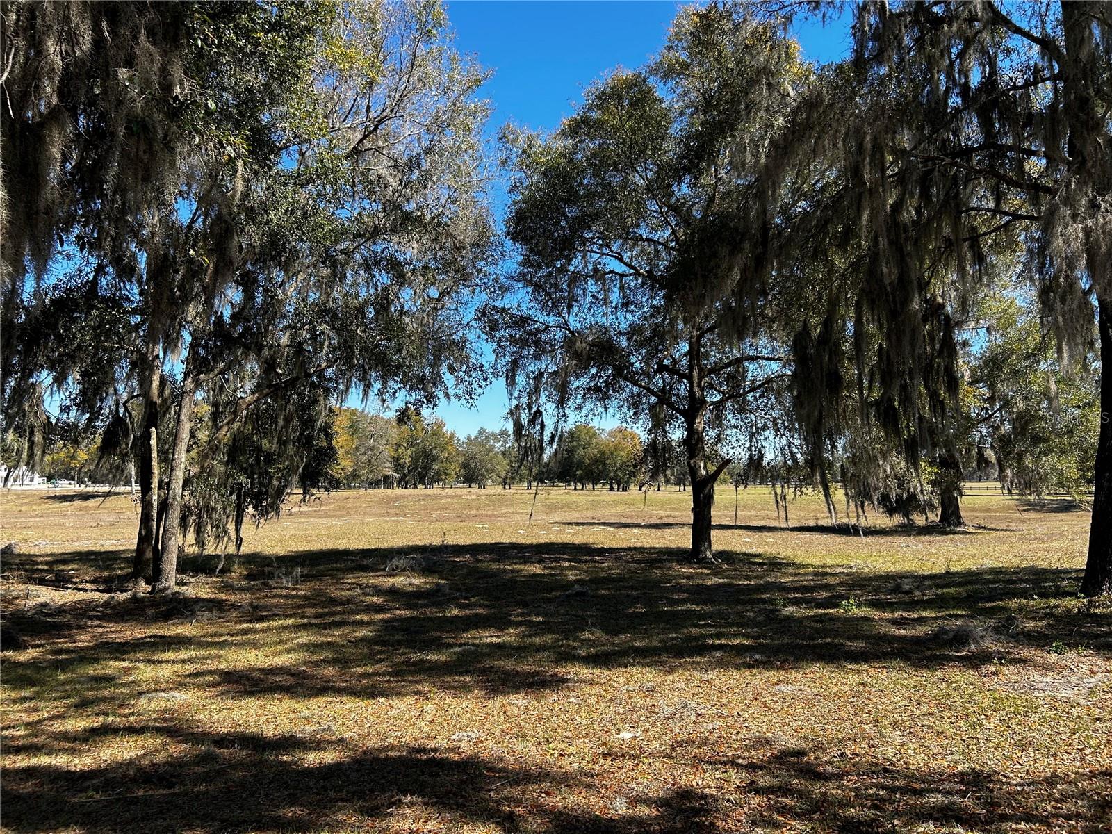 0000 NW 464B, MORRISTON, FL — photo 15
