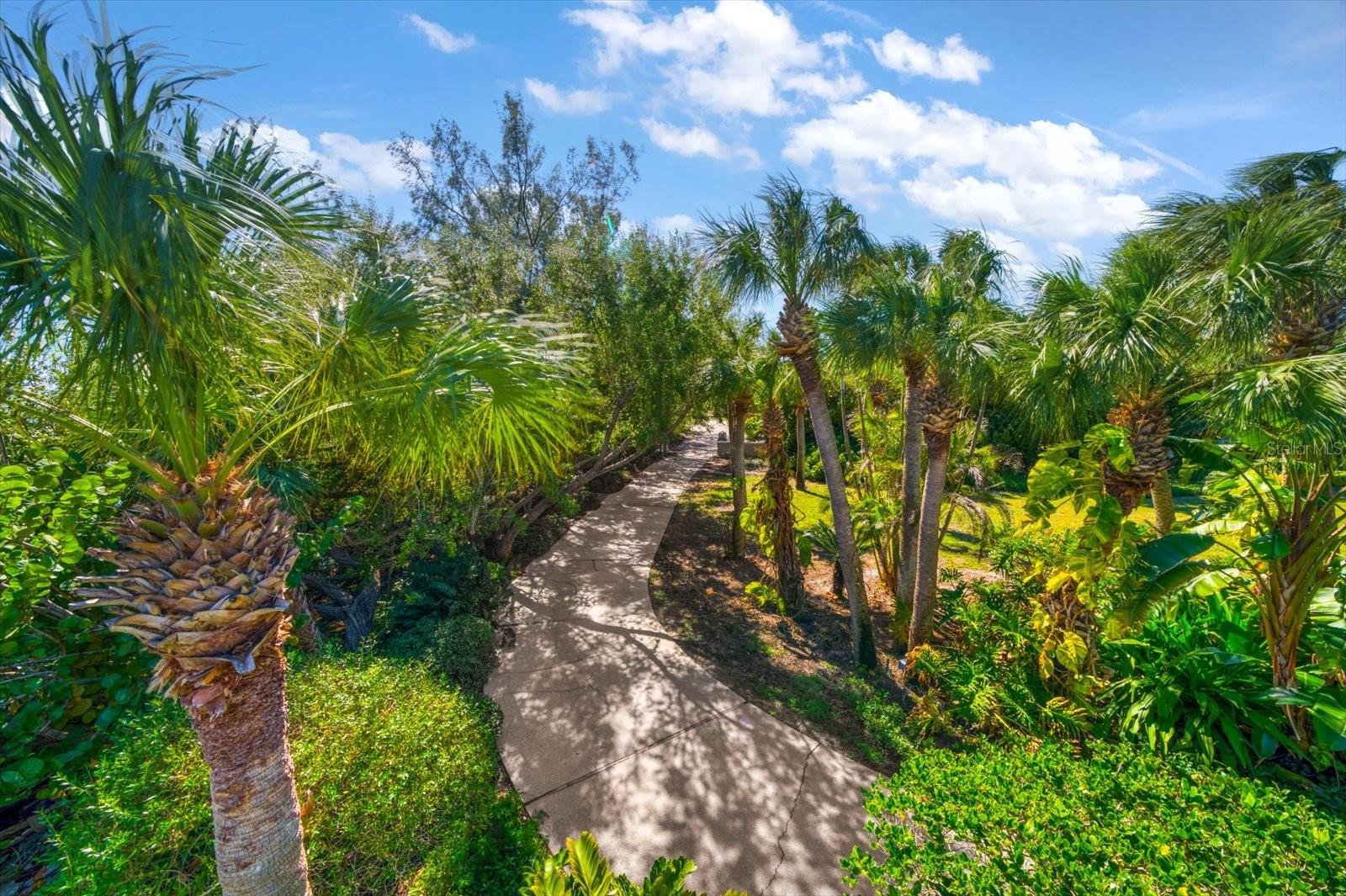1198 MANDALAY PT, CLEARWATER, FL — photo 11