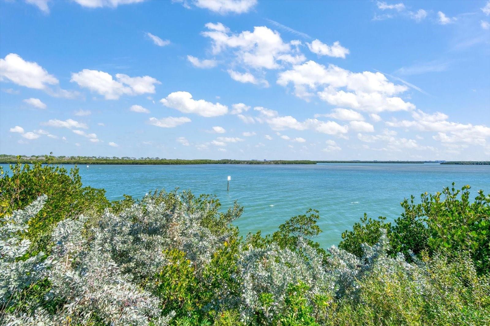 1198 MANDALAY PT, CLEARWATER, FL — photo 23
