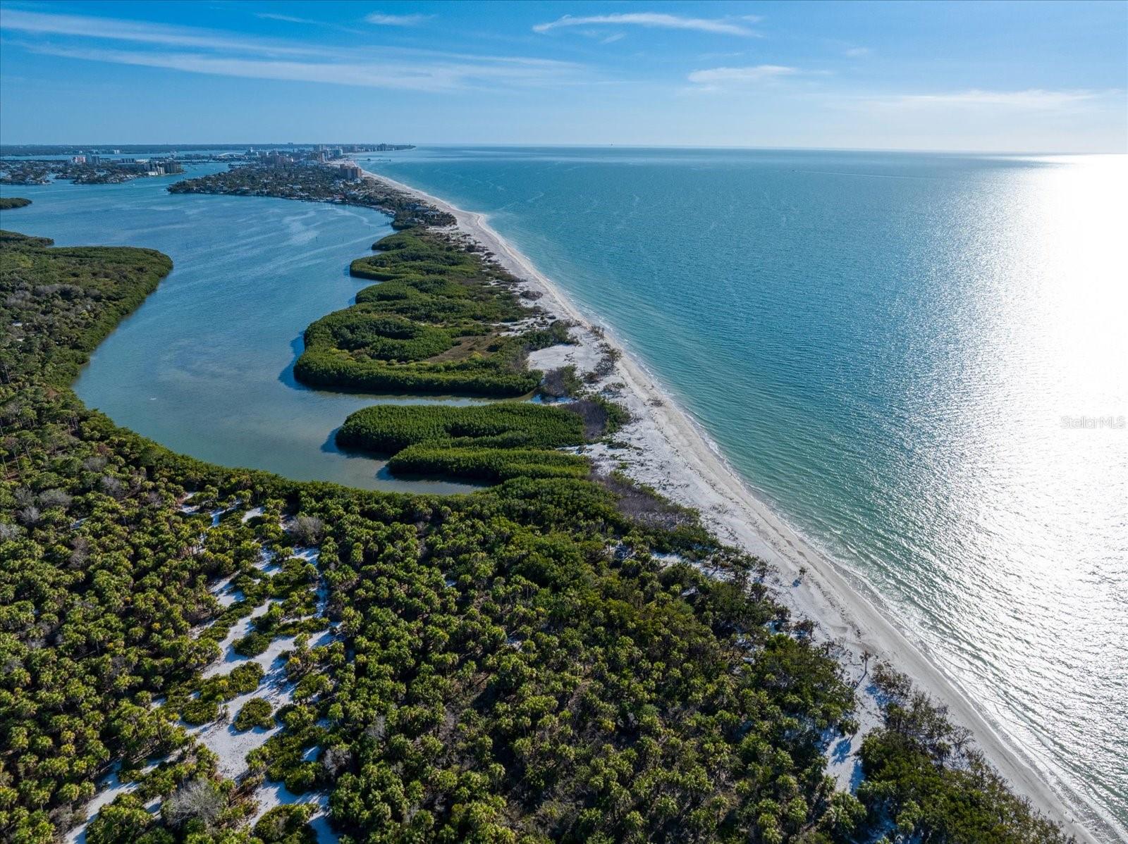 1198 MANDALAY PT, CLEARWATER, FL — photo 38