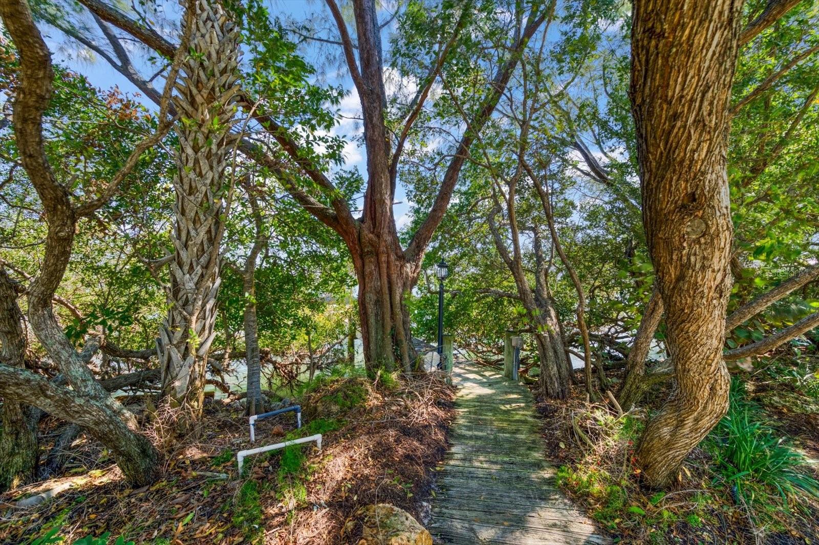 1198 MANDALAY PT, CLEARWATER, FL — photo 41