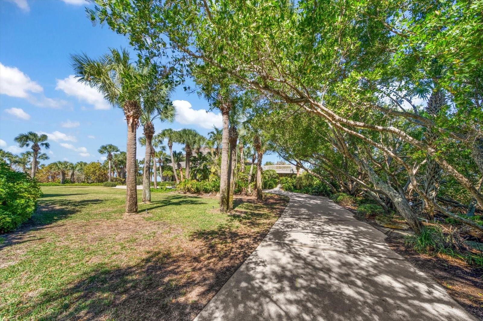 1198 MANDALAY PT, CLEARWATER, FL — photo 51