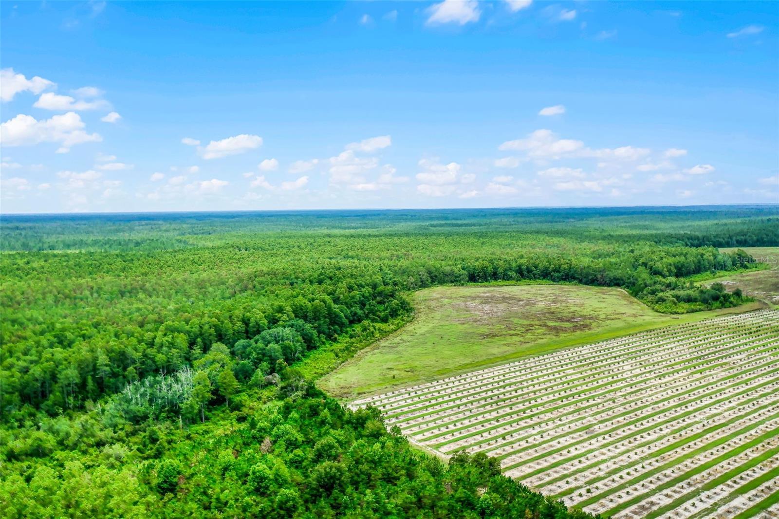 S BOGGY MARSH RD, CLERMONT, FL — photo 35
