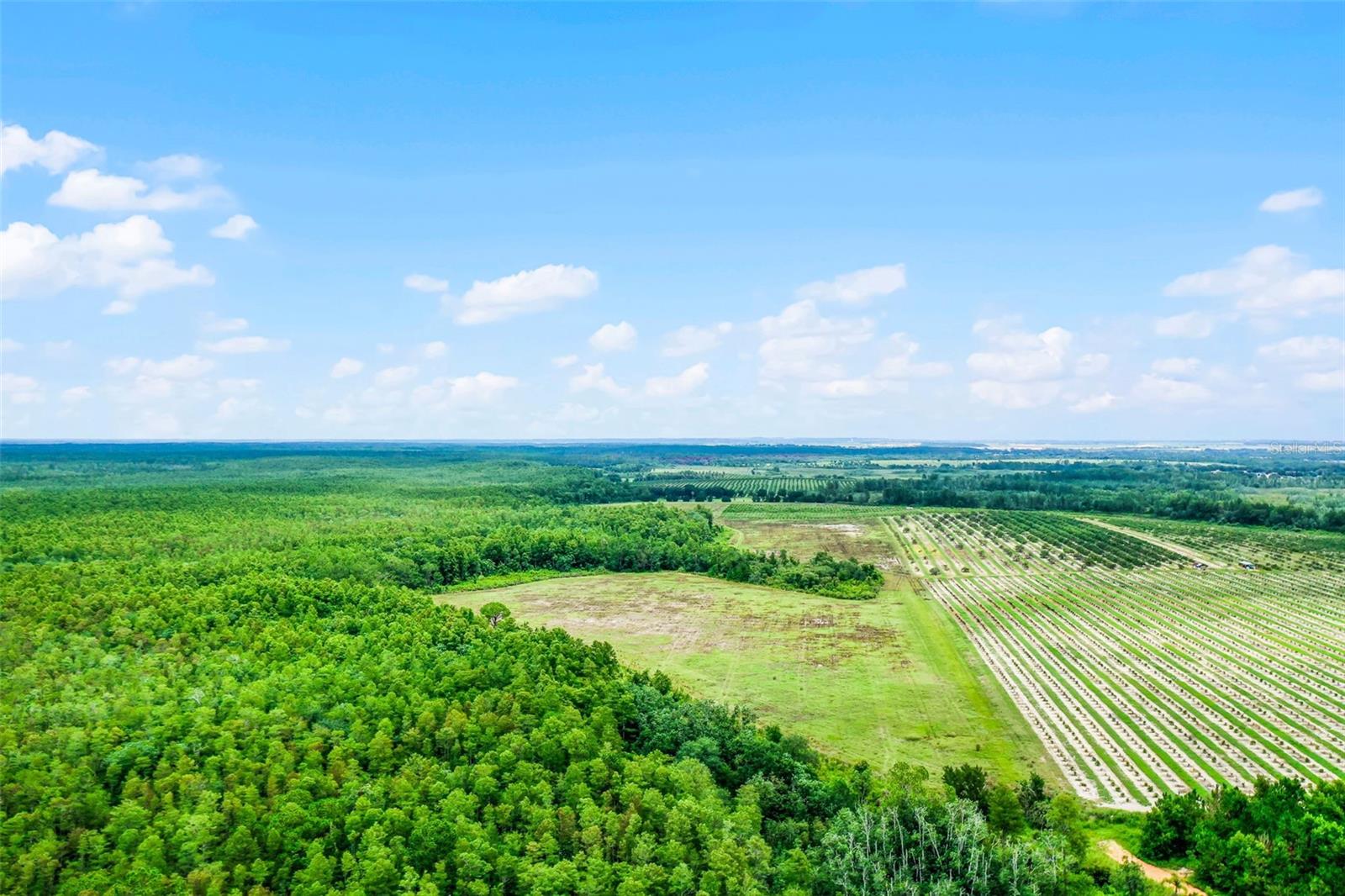 S BOGGY MARSH RD, CLERMONT, FL — photo 39