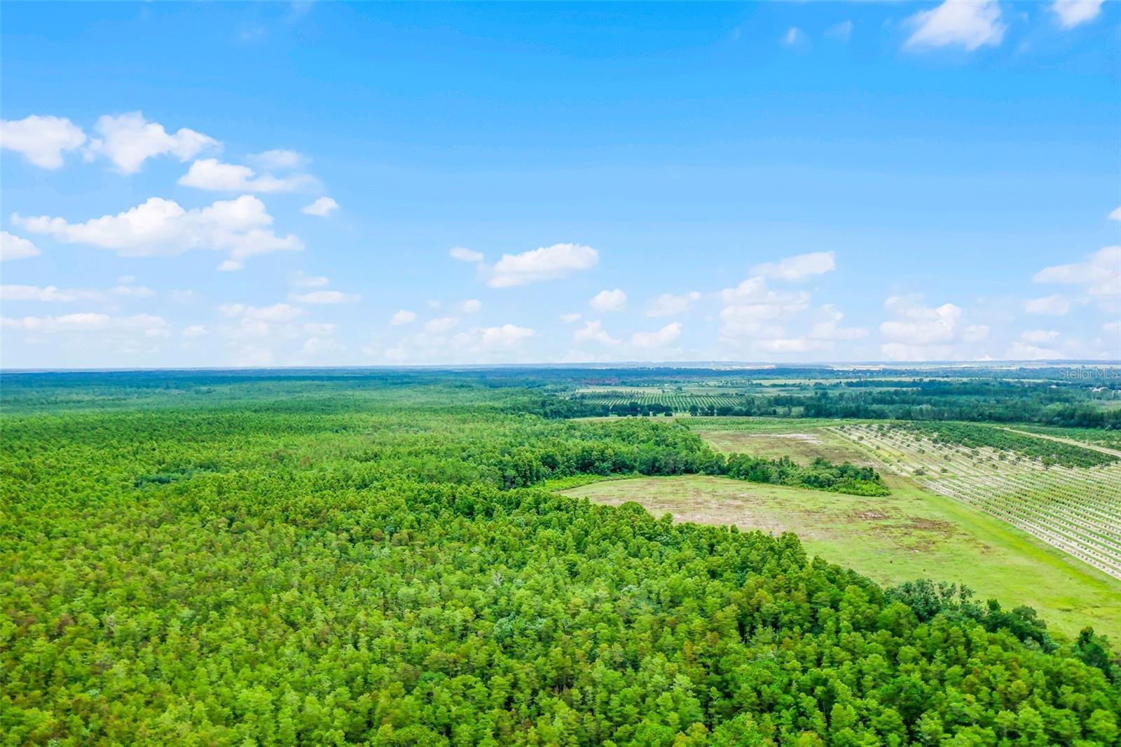S BOGGY MARSH RD, CLERMONT, FL — photo 41