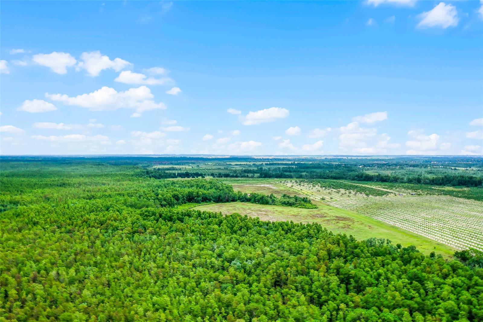 S BOGGY MARSH RD, CLERMONT, FL — photo 4