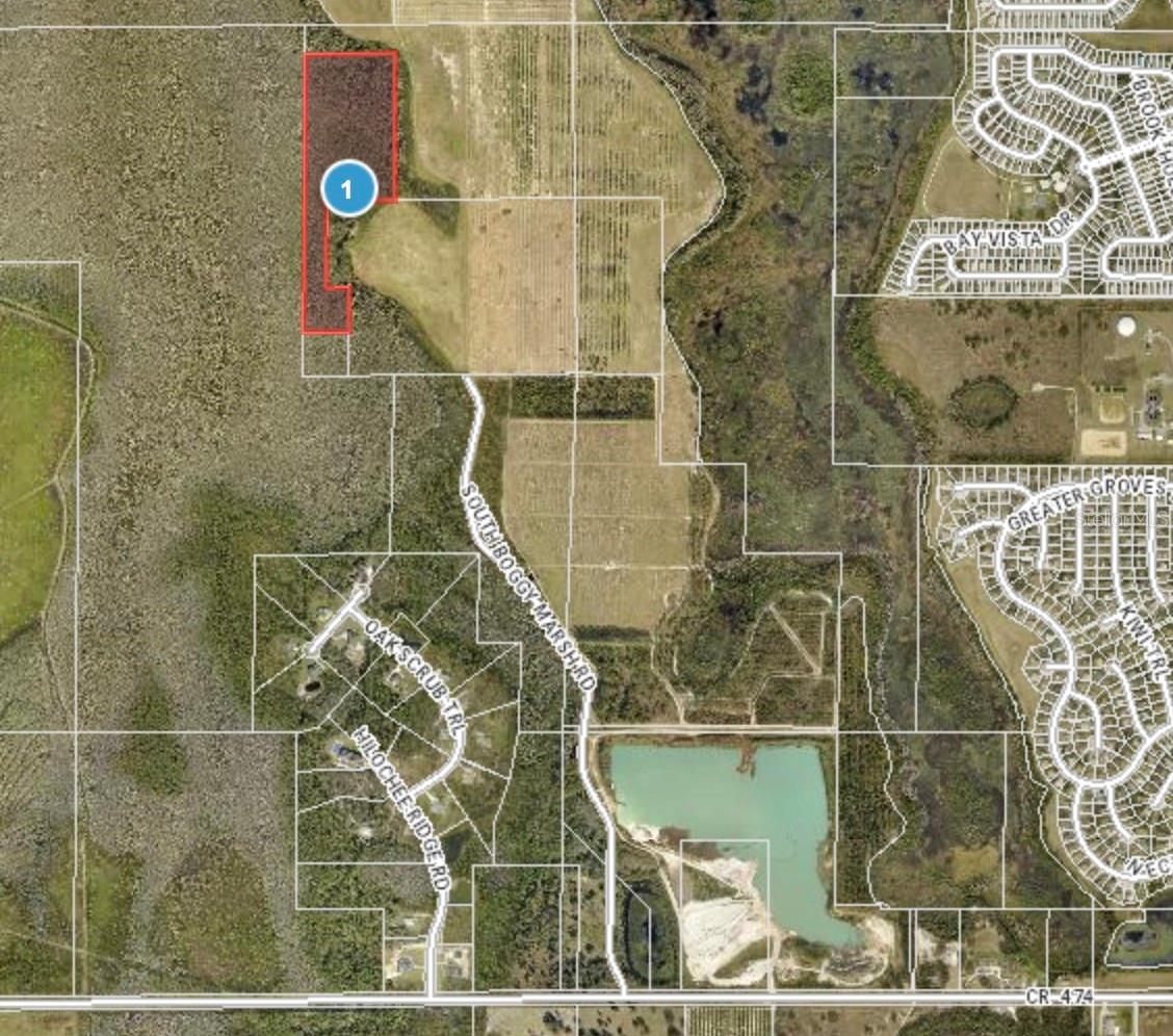 S BOGGY MARSH RD, CLERMONT, FL — photo 13