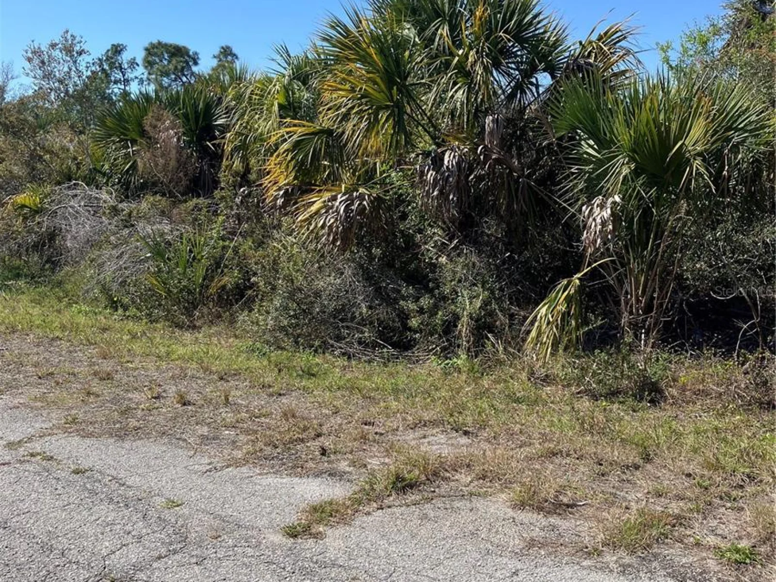 BIGNAY RD, NORTH PORT, FL — photo 5