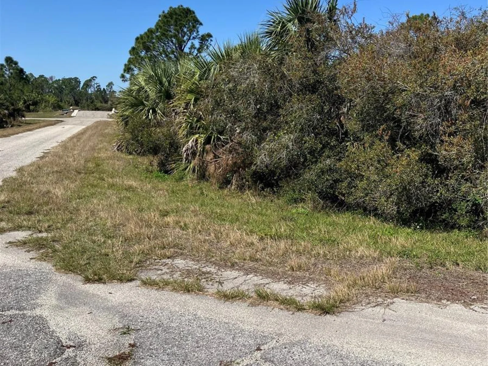 BIGNAY RD, NORTH PORT, FL — photo 6
