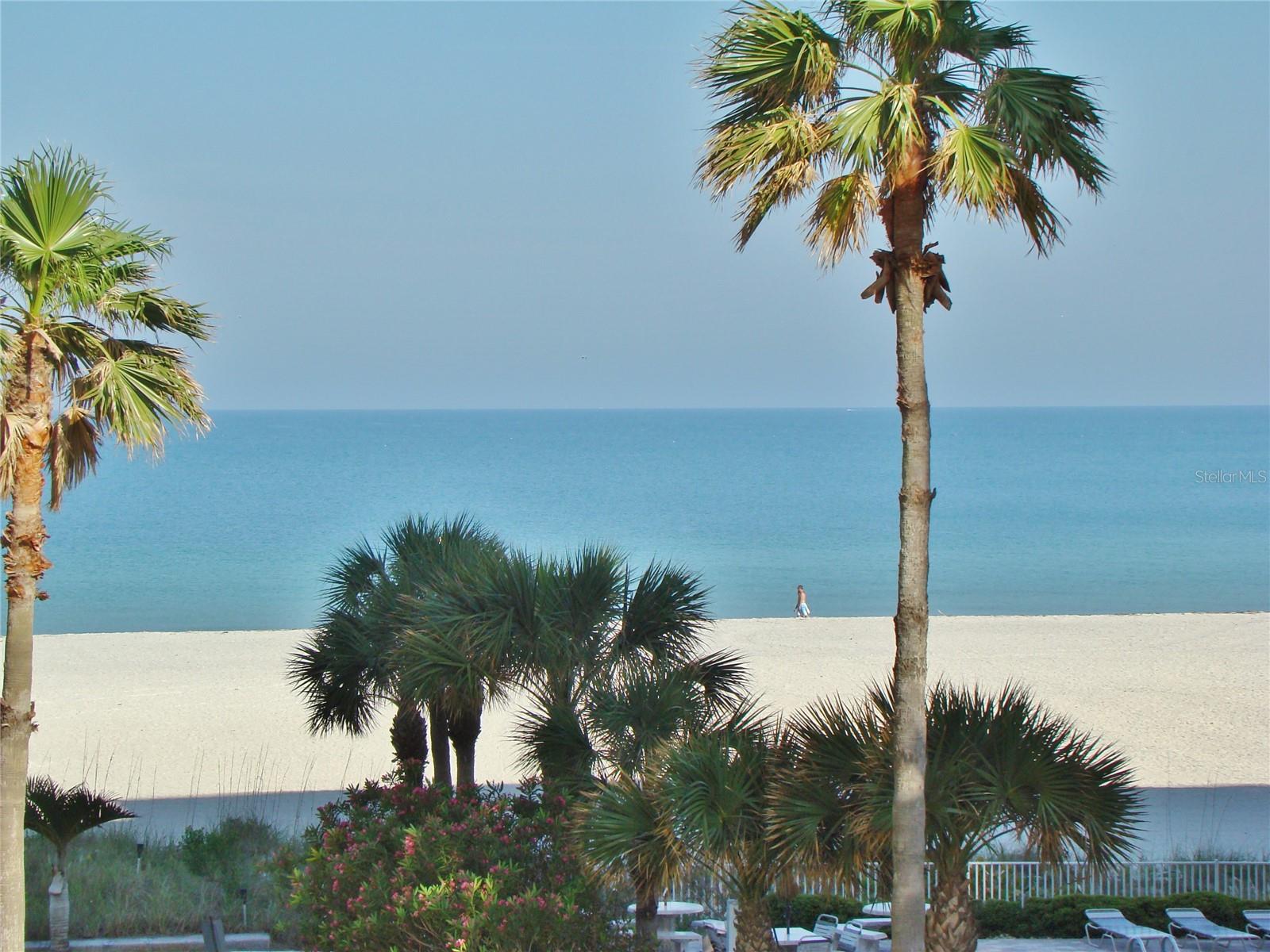 1380 GULF BLVD #206, CLEARWATER, FL — photo 4