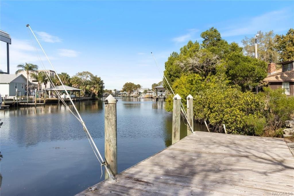 11684 W SUNNYBROOK CT, CRYSTAL RIVER, FL — photo 5