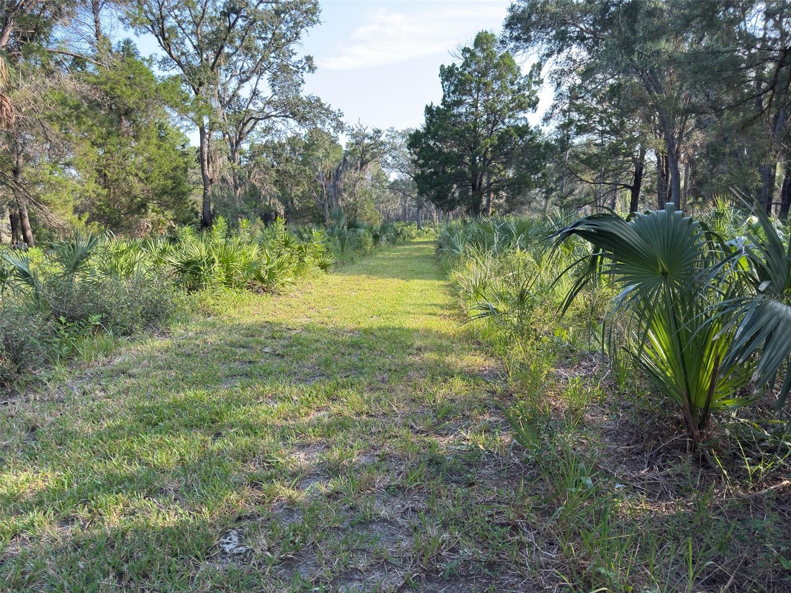 11684 W SUNNYBROOK CT, CRYSTAL RIVER, FL — photo 31