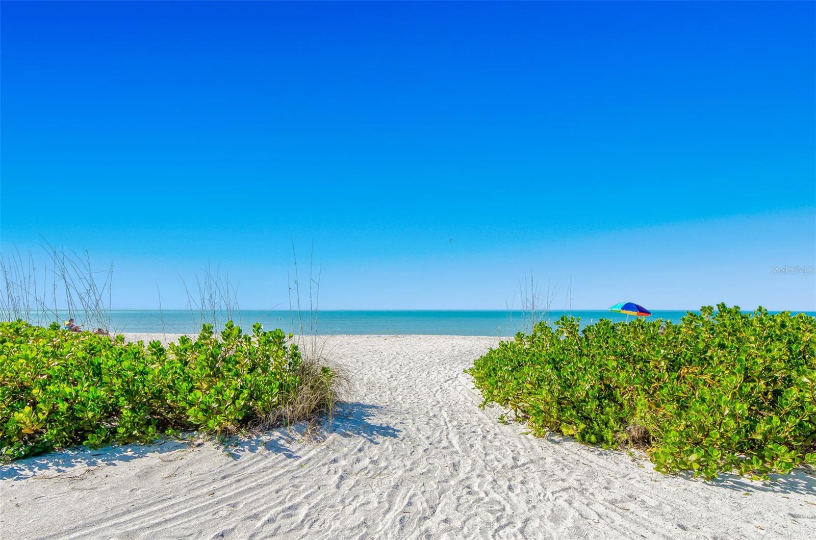1230 GULF BLVD #1404, CLEARWATER, FL — photo 10