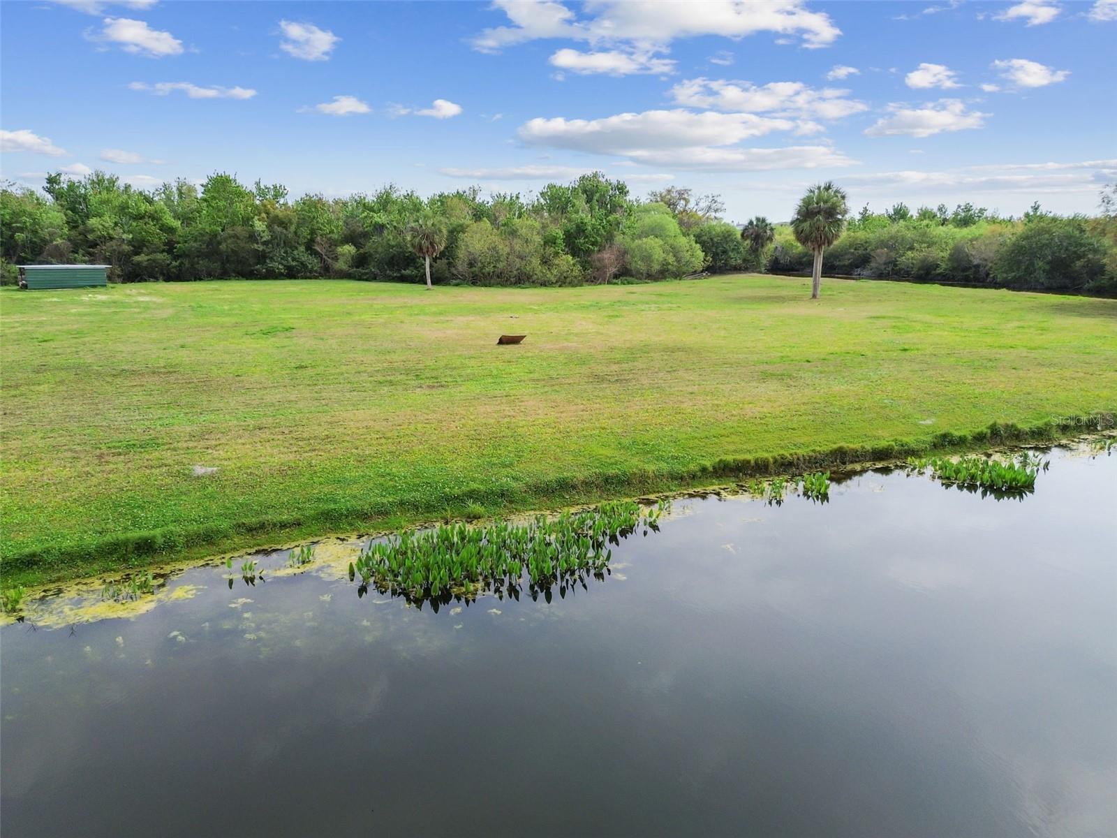KIBLER LN, HOLIDAY, FL — photo 23