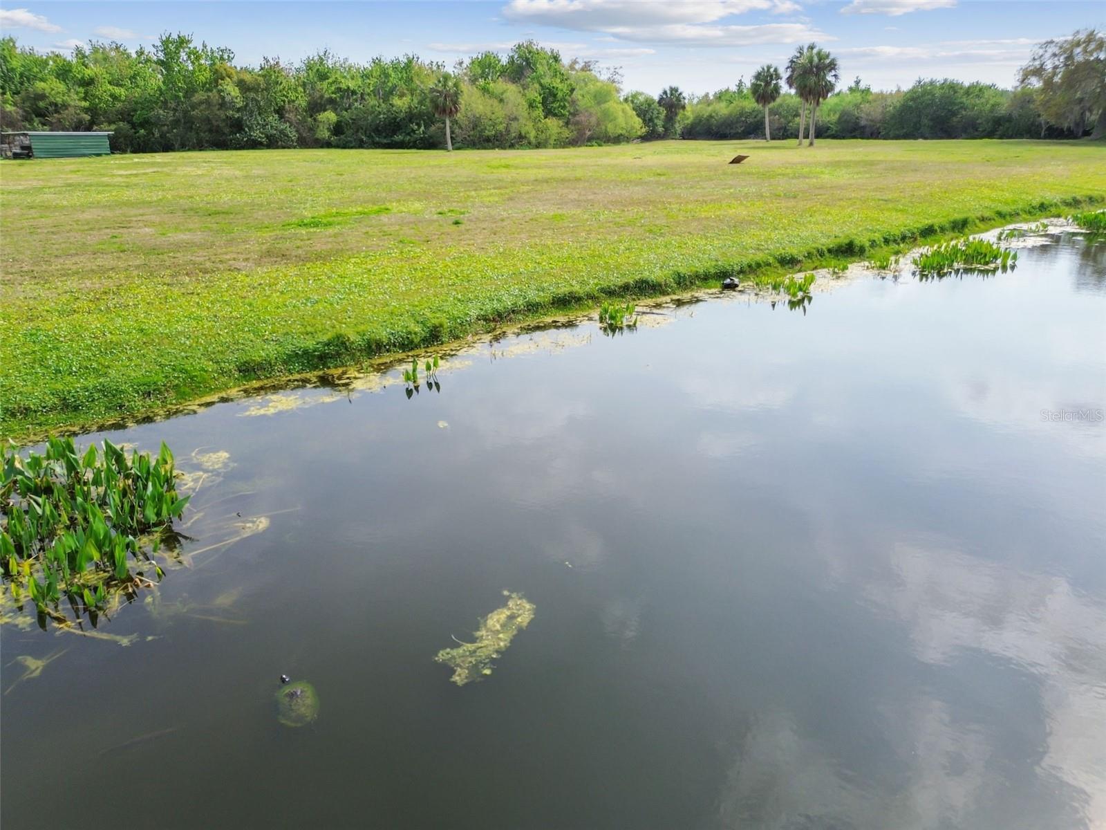 KIBLER LN, HOLIDAY, FL — photo 25