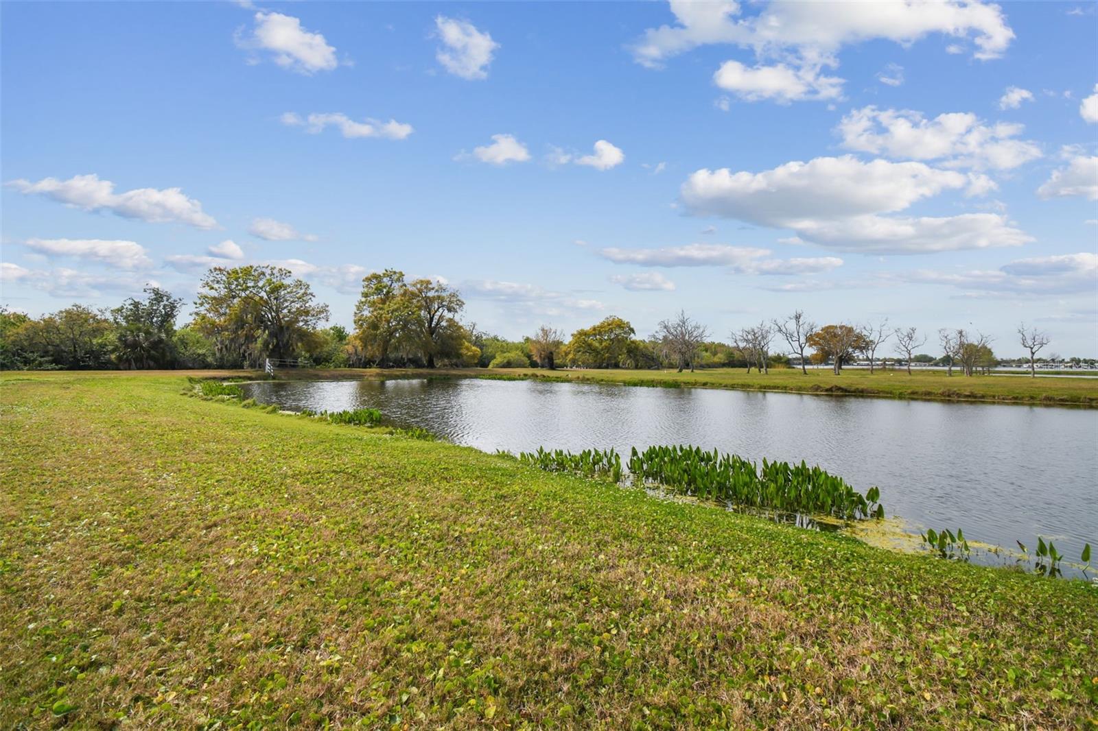 KIBLER LN, HOLIDAY, FL — photo 36