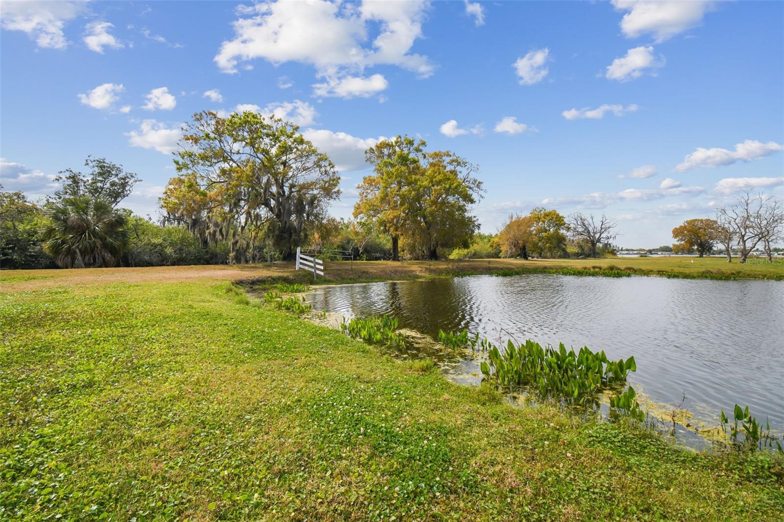 KIBLER LN, HOLIDAY, FL — photo 41