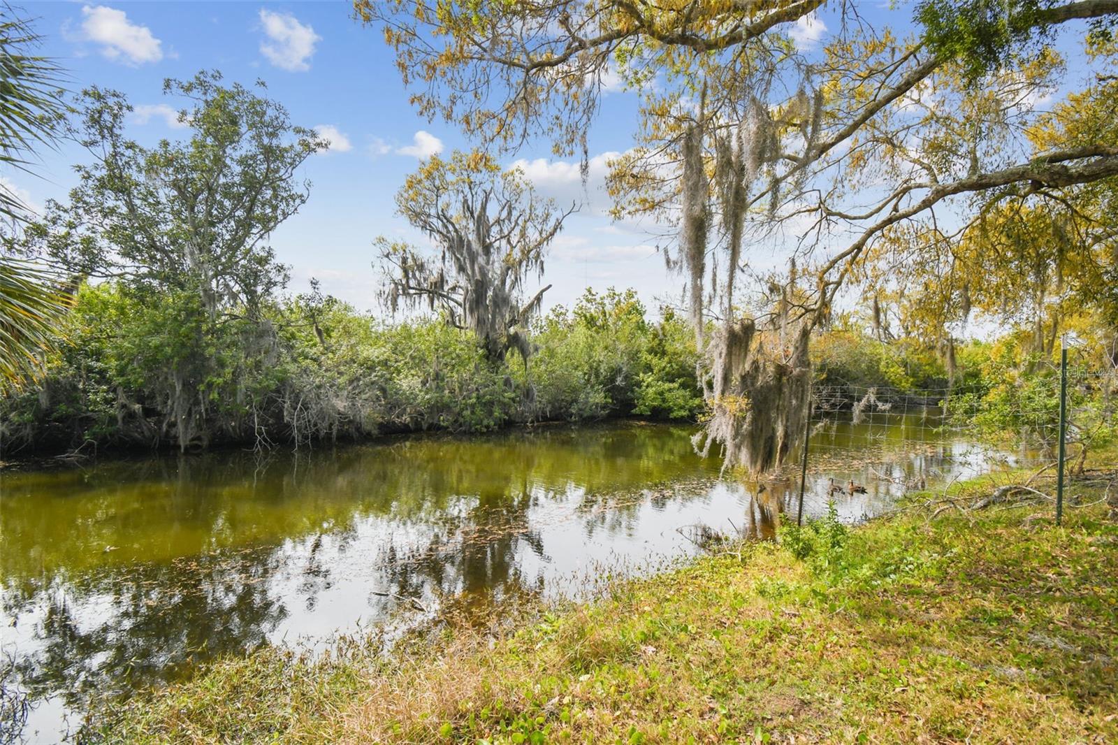 KIBLER LN, HOLIDAY, FL — photo 44