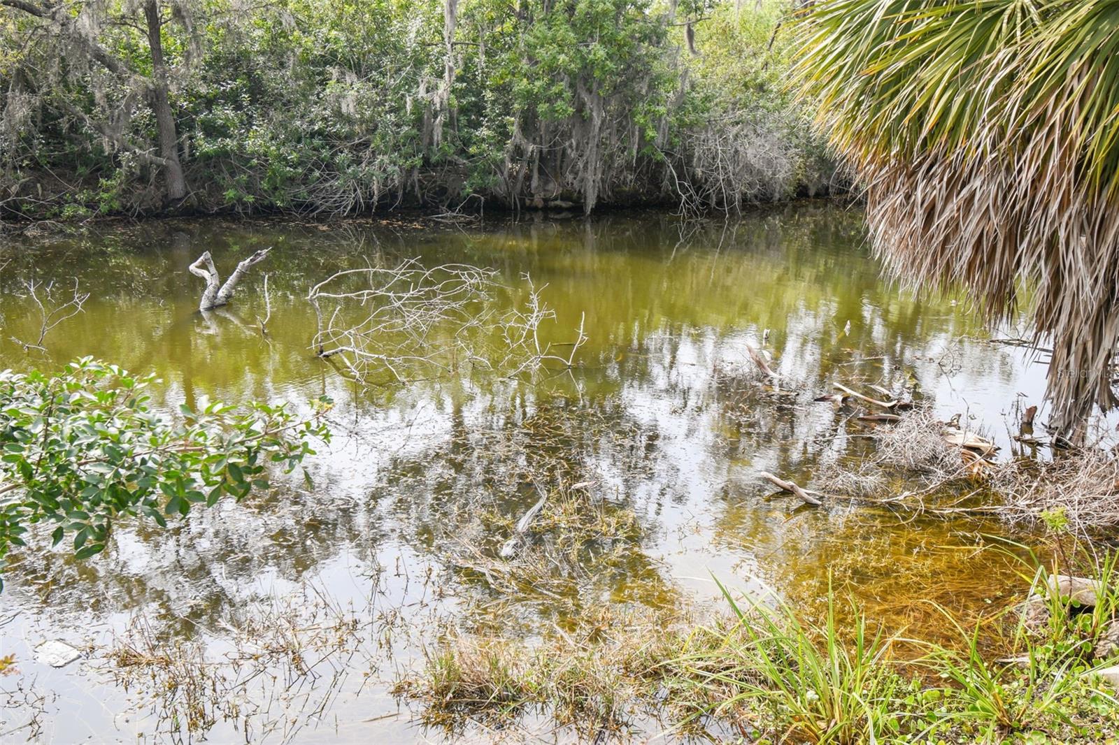KIBLER LN, HOLIDAY, FL — photo 46