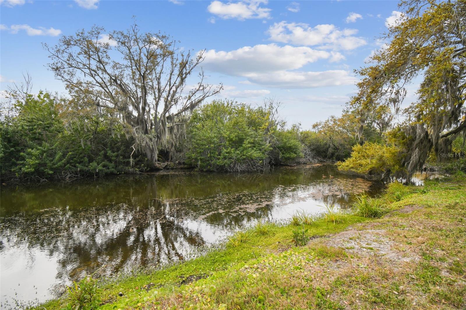 KIBLER LN, HOLIDAY, FL — photo 52