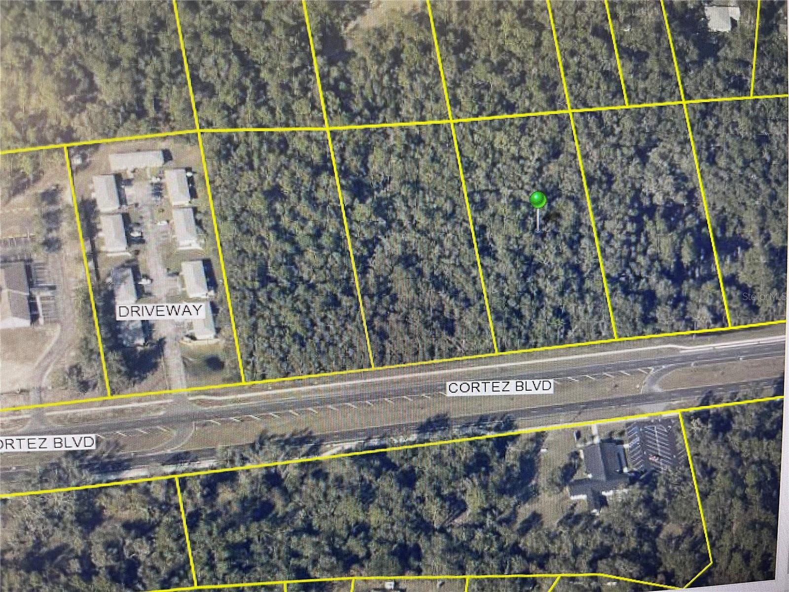 34365 CORTEZ BLVD, DADE CITY, FL — photo 3