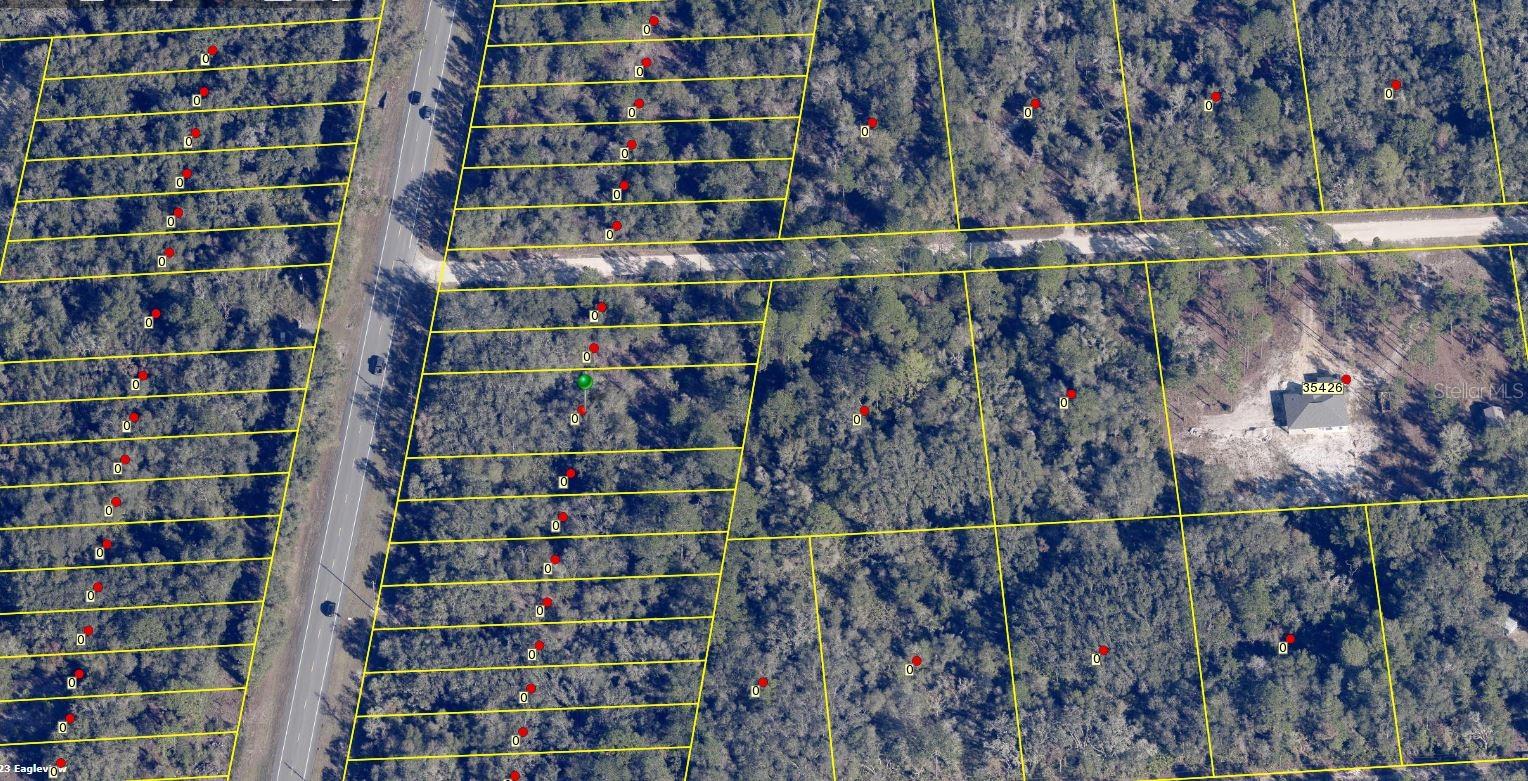 8146 TREIMAN BLVD, WEBSTER, FL