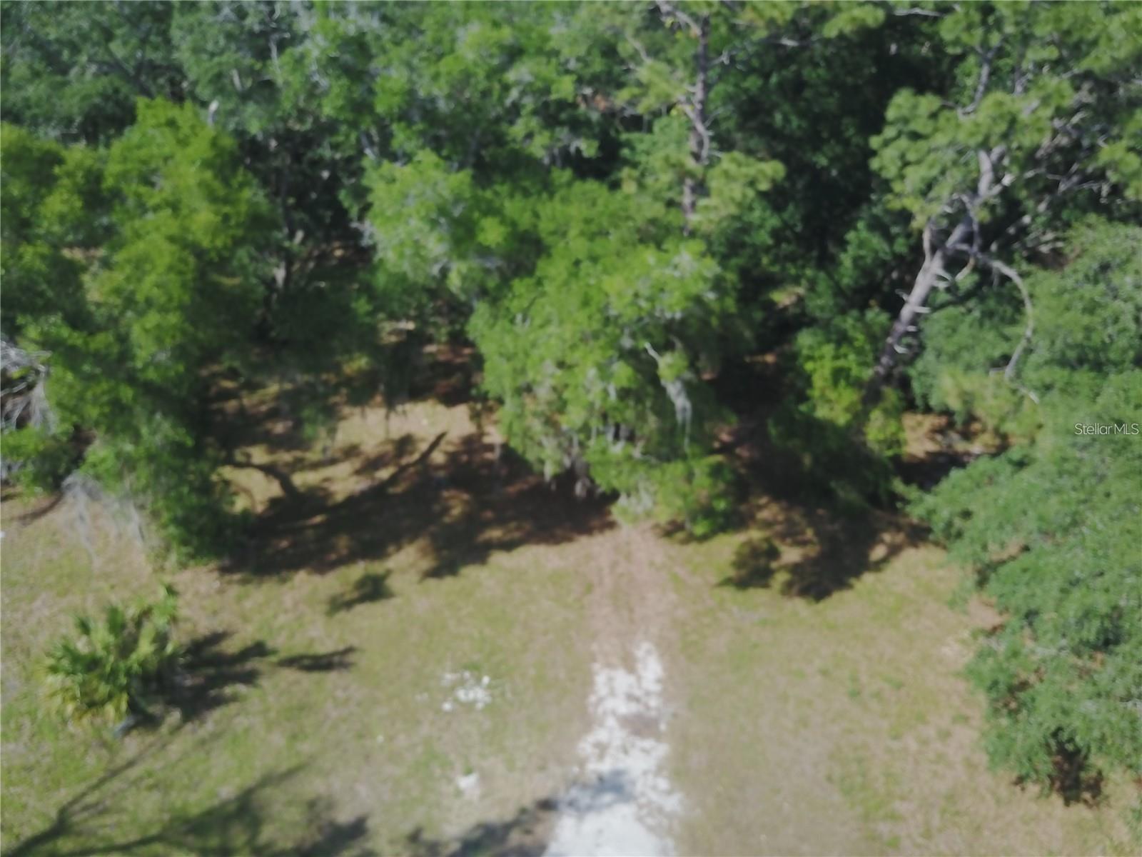 3377 RIVERSIDE PARK RD, ORLANDO, FL — photo 2