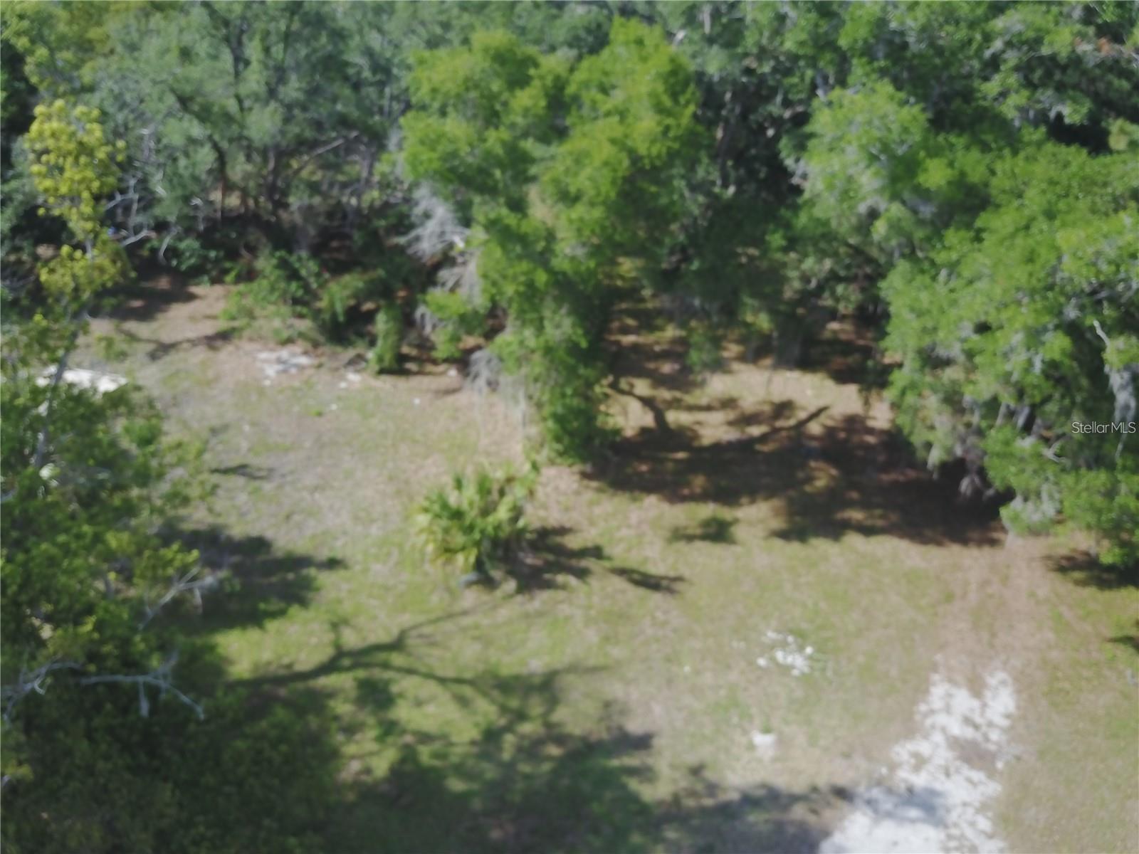 3377 RIVERSIDE PARK RD, ORLANDO, FL — photo 3