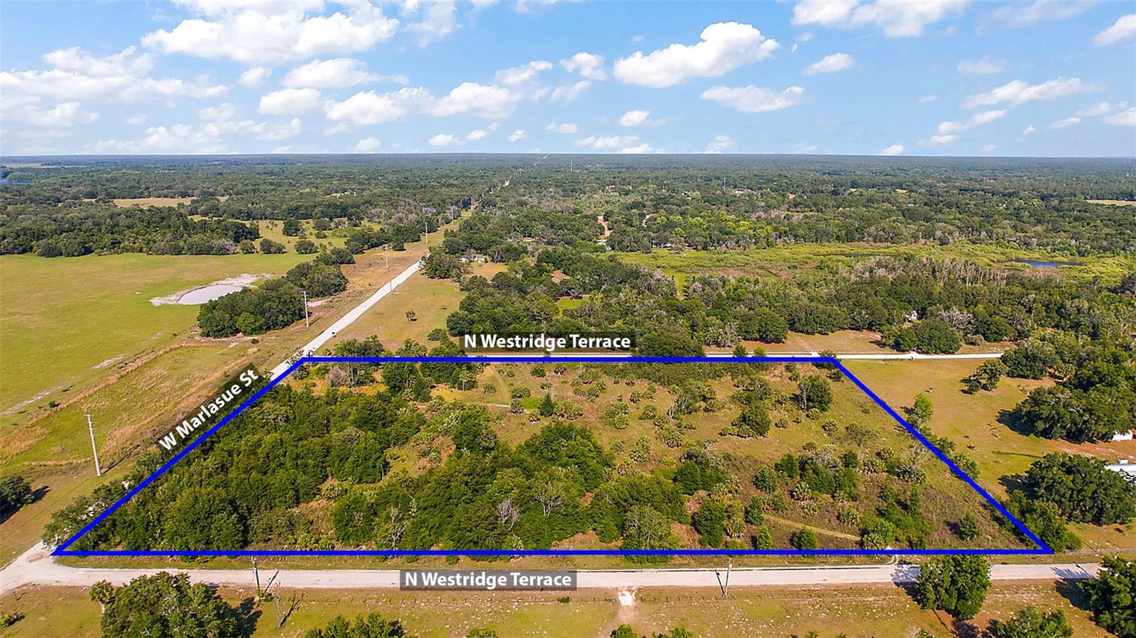 9807 N WESTRIDGE TER, CRYSTAL RIVER, FL