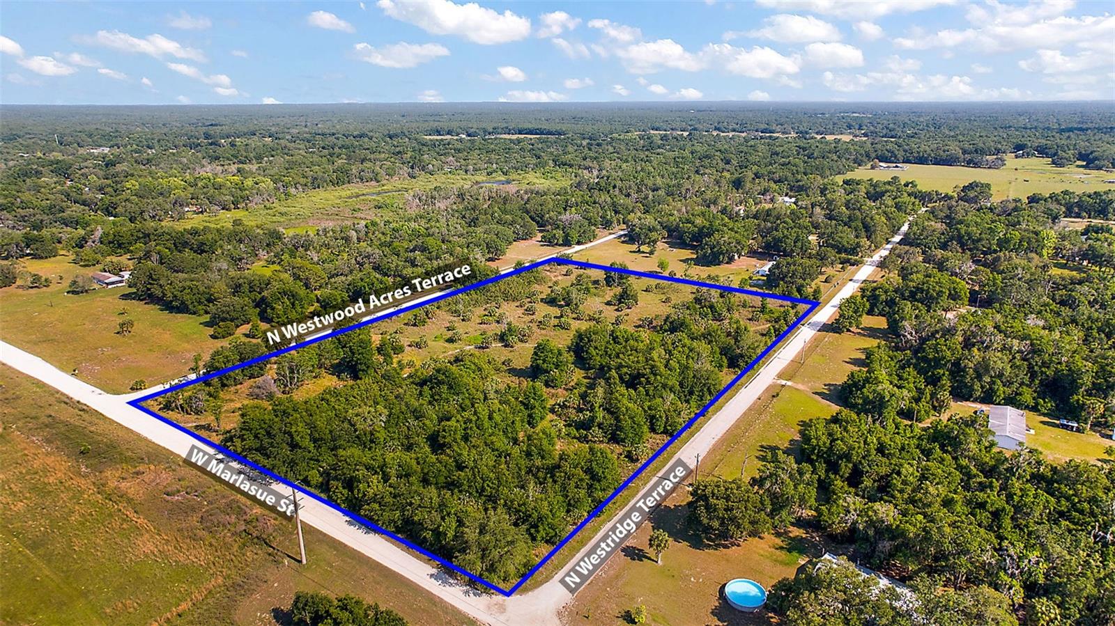 9807 N WESTRIDGE TER, CRYSTAL RIVER, FL — photo 2