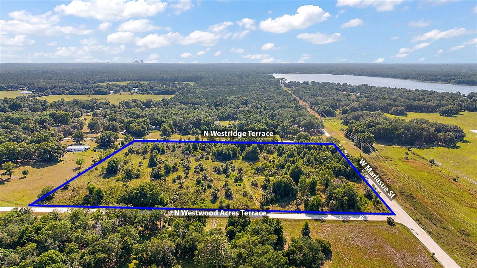 9807 N WESTRIDGE TER, CRYSTAL RIVER, FL — photo 6