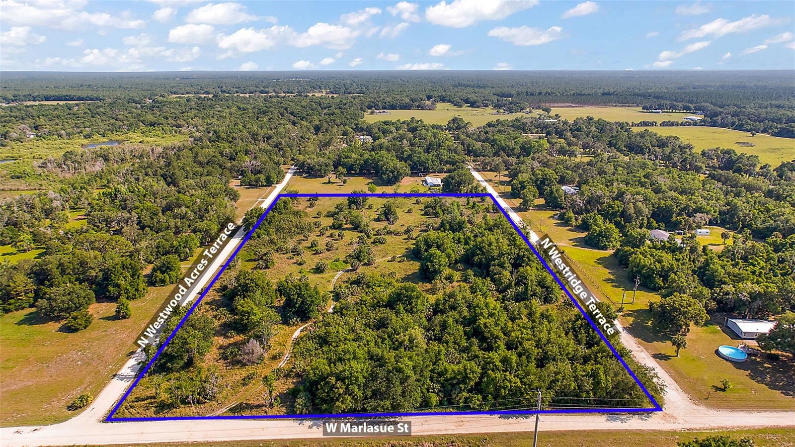 9807 N WESTRIDGE TER, CRYSTAL RIVER, FL — photo 8