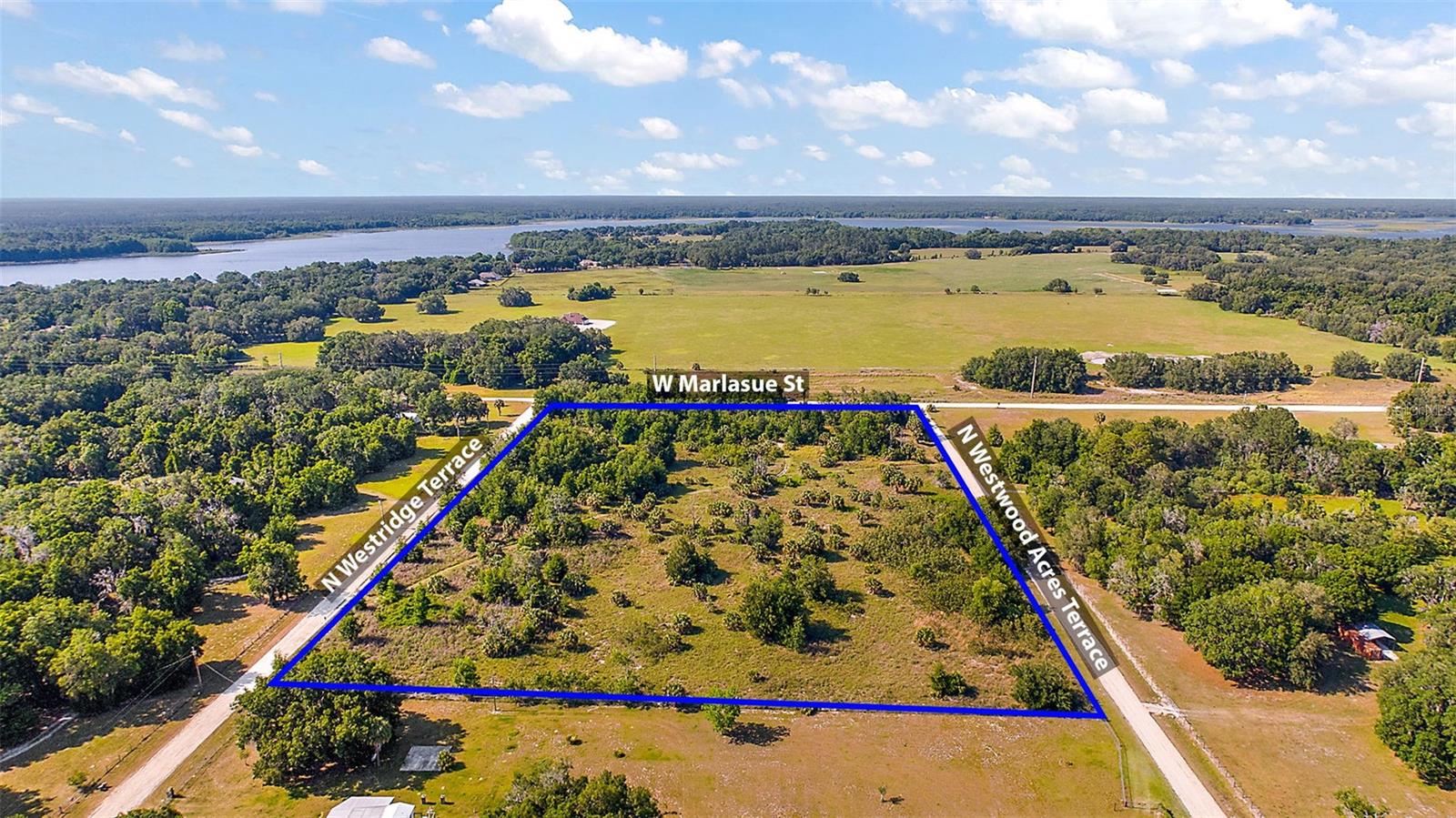 9807 N WESTRIDGE TER, CRYSTAL RIVER, FL — photo 4