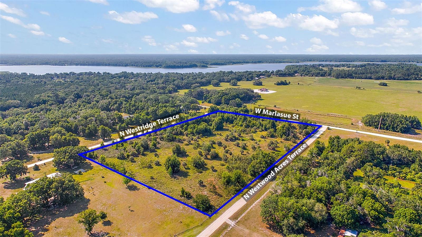 9807 N WESTRIDGE TER, CRYSTAL RIVER, FL — photo 5