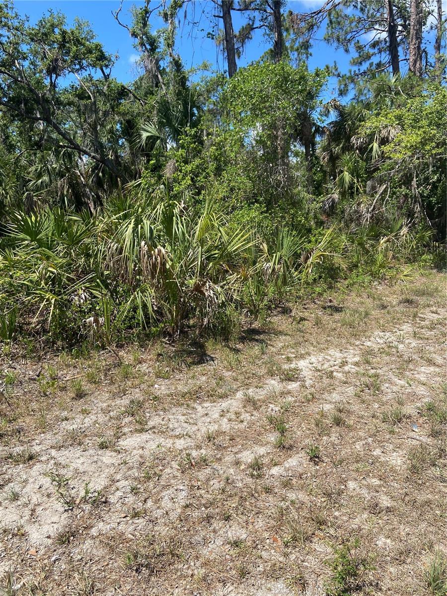17123 HEMLOCK AVE, PORT CHARLOTTE, FL — photo 2