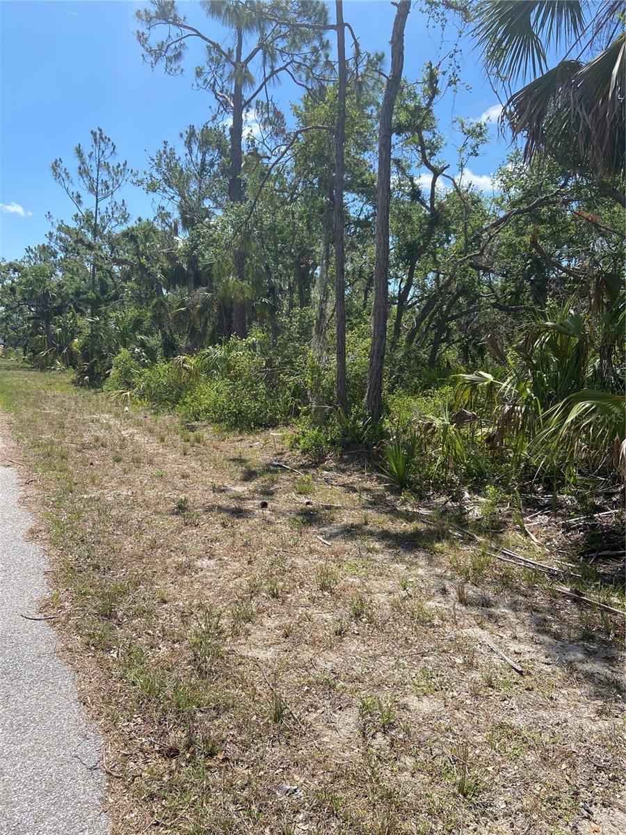 17123 HEMLOCK AVE, PORT CHARLOTTE, FL — photo 6