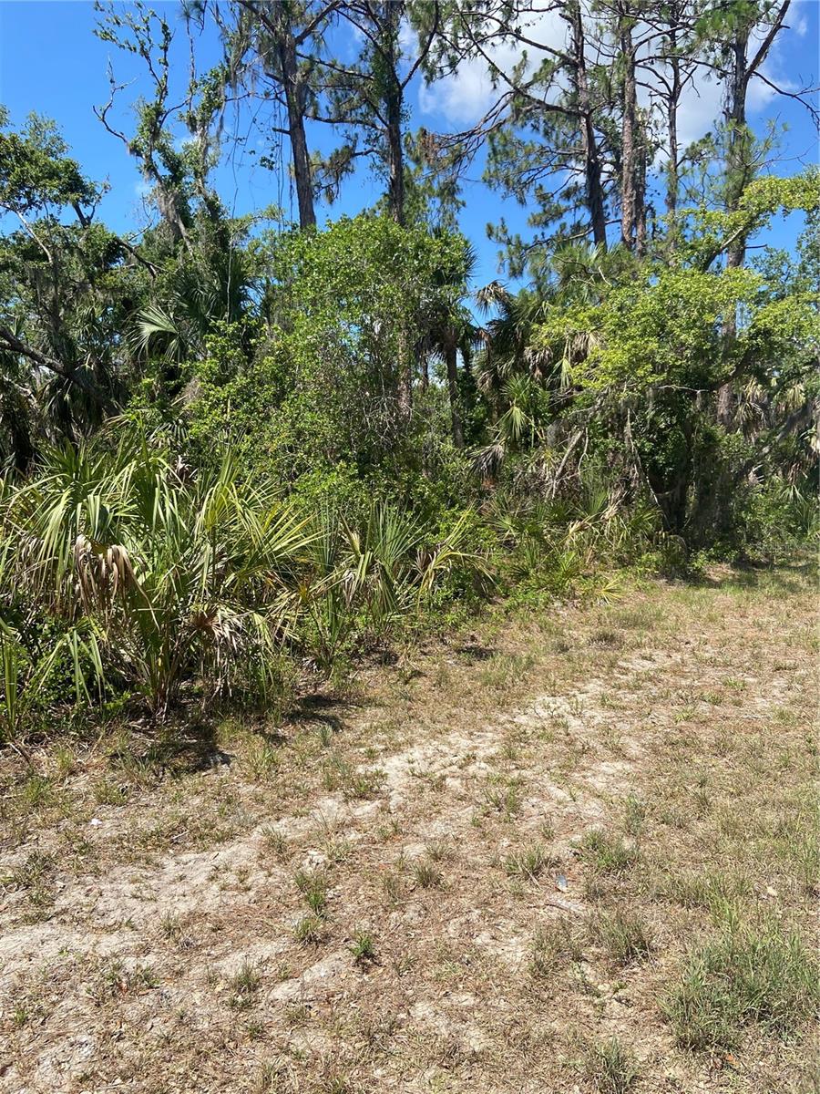 17123 HEMLOCK AVE, PORT CHARLOTTE, FL — photo 9
