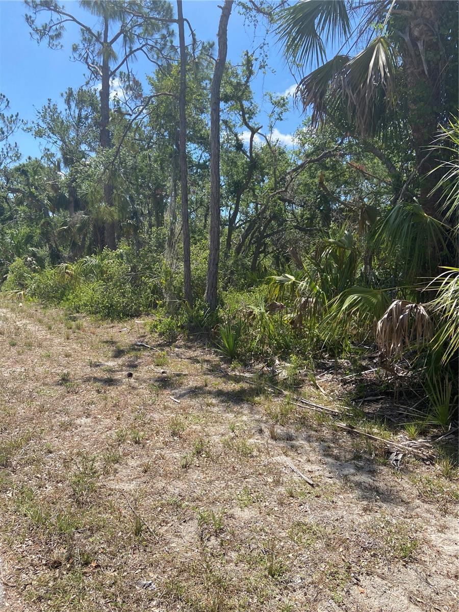 17115 HEMLOCK AVE, PORT CHARLOTTE, FL — photo 5