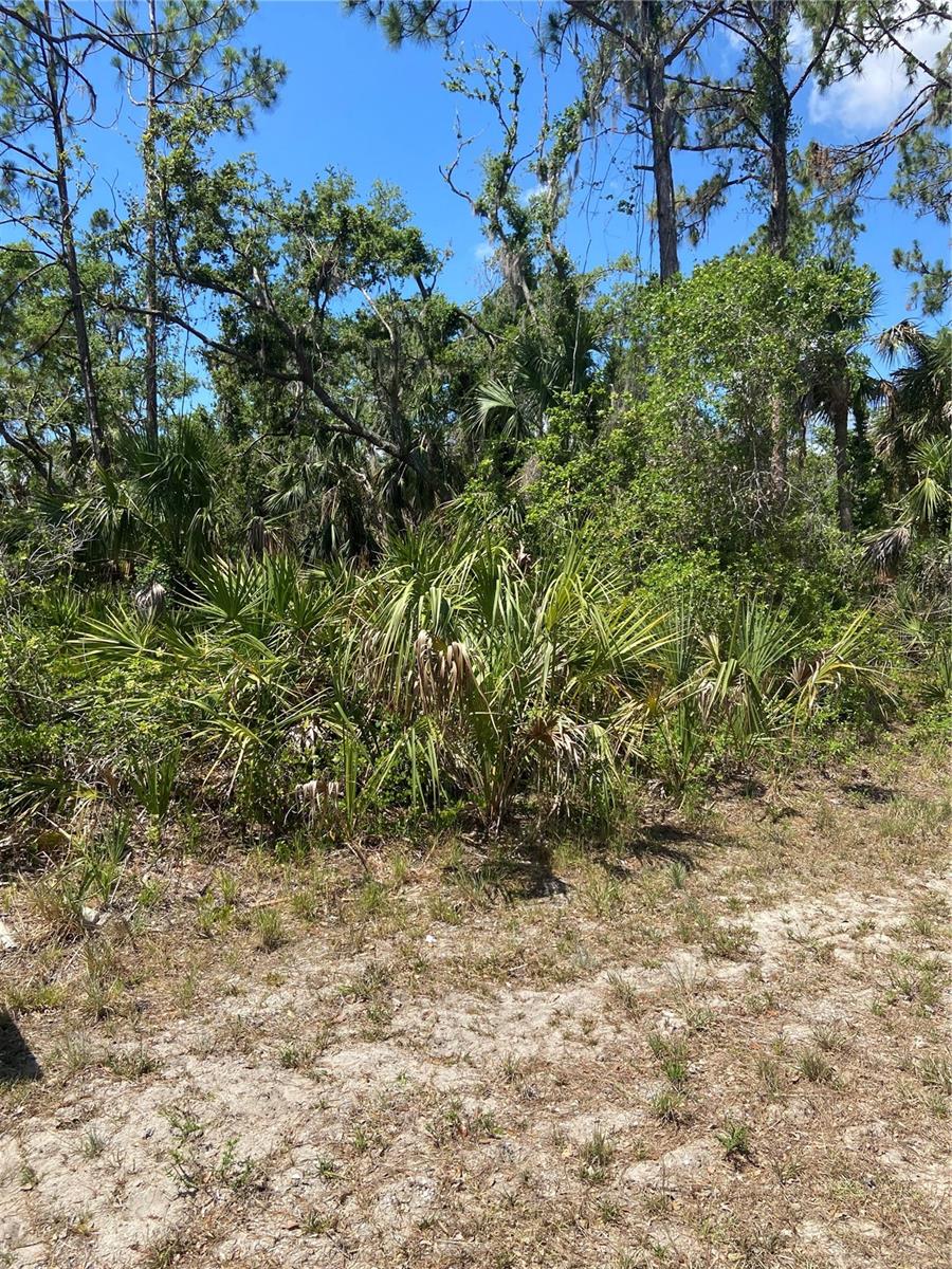 17115 HEMLOCK AVE, PORT CHARLOTTE, FL — photo 7