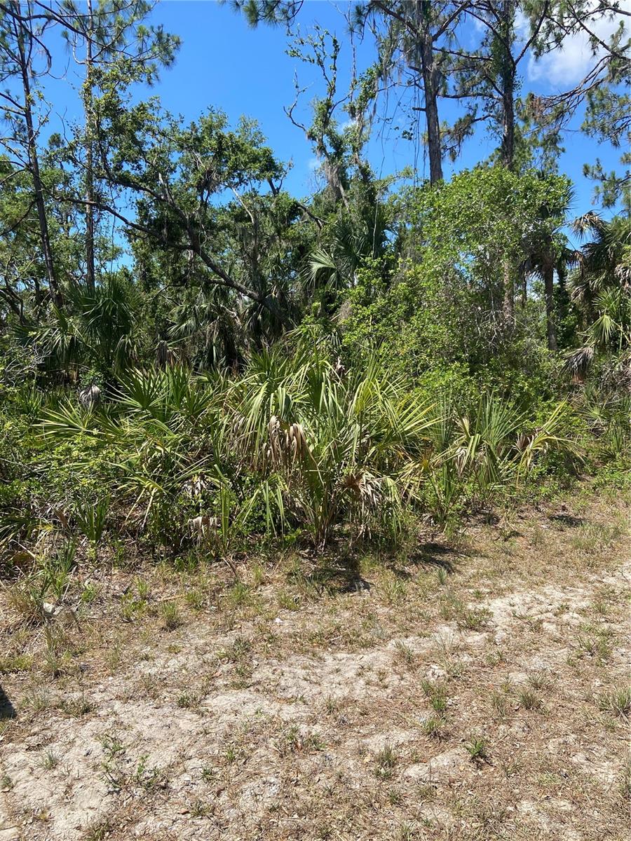17115 HEMLOCK AVE, PORT CHARLOTTE, FL — photo 8