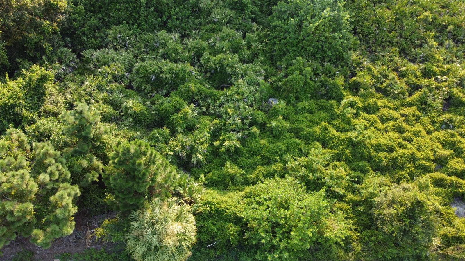 Lot 30 CLOVELON ST, NORTH PORT, FL — photo 8