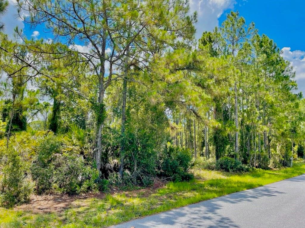 Lot 2 ALWOOD ST, NORTH PORT, FL — photo 8